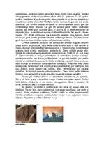 Referāts 'Cilvēka izcelšanās', 3.