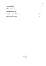 Referāts 'Uzņēmums "Migla"', 2.