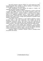 Referāts 'Uzņēmums "Migla"', 4.