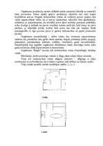 Referāts 'Uzņēmums "Migla"', 5.