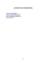 Referāts 'Informācijas uzglabāšanas ierīces', 12.