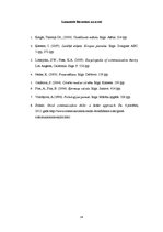 Referāts 'Prasmīga prezentācija', 14.