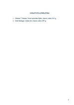 Referāts 'Vadītāja darbības ētiskie principi', 8.