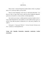 Referāts 'Fotogrāfijas pēcapstrāde fotoreportāžā', 2.