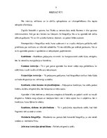 Referāts 'Fotogrāfijas pēcapstrāde fotoreportāžā', 9.