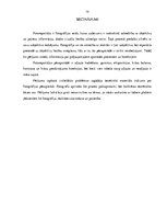 Referāts 'Fotogrāfijas pēcapstrāde fotoreportāžā', 10.