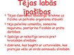 Prezentācija 'Tēja', 3.