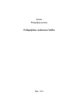 Referāts 'Pedagoģiskās saskarsmes būtība', 1.