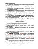 Paraugs 'Nedzīvojamo telpu nomas līgums nomnieka interesēs', 3.