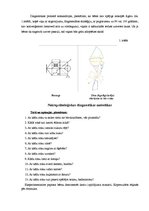 Referāts 'Neiropsiholoģiskā diagnostika un korekcija', 3.