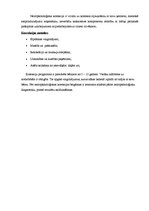 Referāts 'Neiropsiholoģiskā diagnostika un korekcija', 5.