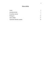 Referāts 'Runas māksla un tās attīstība', 15.