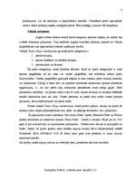 Prakses atskaite 'Mārketinga plāns veikalam "Valda Ošiņa rakstāmlietas"', 6.