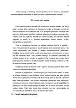 Prakses atskaite 'Mārketinga plāns veikalam "Valda Ošiņa rakstāmlietas"', 8.