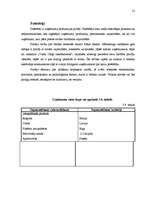 Prakses atskaite 'Mārketinga plāns veikalam "Valda Ošiņa rakstāmlietas"', 19.