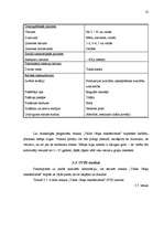 Prakses atskaite 'Mārketinga plāns veikalam "Valda Ošiņa rakstāmlietas"', 20.