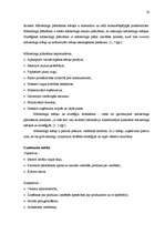 Prakses atskaite 'Mārketinga plāns veikalam "Valda Ošiņa rakstāmlietas"', 24.