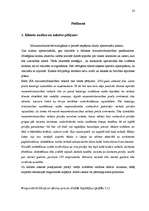 Prakses atskaite 'Mārketinga plāns veikalam "Valda Ošiņa rakstāmlietas"', 31.