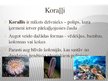 Prezentācija 'Koraļļu rifs', 9.