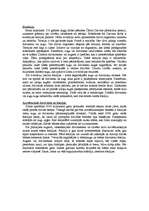 Konspekts 'Zemes dzīlēs', 4.