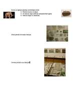 Konspekts 'Zemes dzīlēs', 5.