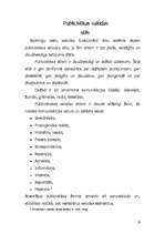 Referāts 'Lingvistiskie līdzekļi un valodas stili', 9.