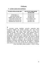 Referāts 'Lingvistiskie līdzekļi un valodas stili', 20.