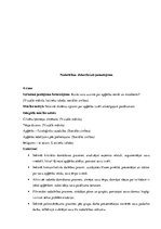 Prakses atskaite 'Integrētā mācību prakse sākumskolā', 7.