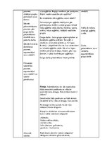 Prakses atskaite 'Integrētā mācību prakse sākumskolā', 9.