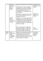 Prakses atskaite 'Integrētā mācību prakse sākumskolā', 10.