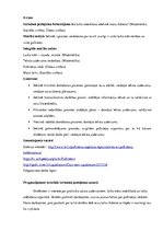 Prakses atskaite 'Integrētā mācību prakse sākumskolā', 12.