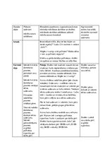 Prakses atskaite 'Integrētā mācību prakse sākumskolā', 13.