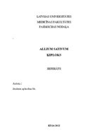 Konspekts 'Ķiploks', 1.