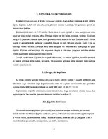 Konspekts 'Ķiploks', 4.