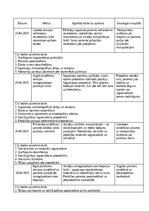 Prakses atskaite 'Māsas palīga prakses dienasgrāmata', 11.