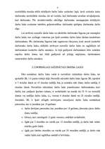 Referāts 'Darba laiks', 8.