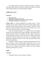 Diplomdarbs 'Sešgadīgu bērnu emocionālā gatavība skolai', 30.