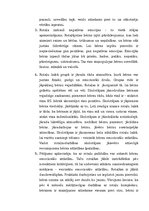 Diplomdarbs 'Sešgadīgu bērnu emocionālā gatavība skolai', 54.