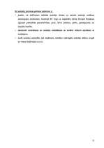 Referāts 'Nodokļi Latvijā pēc iestāšanās Eiropas Savienībā', 12.