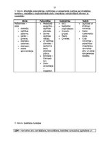 Referāts 'Bērnu sociālās aprūpes institūcijas Latvijā', 13.