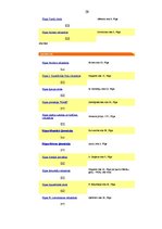 Referāts 'Bērnu sociālās aprūpes institūcijas Latvijā', 29.