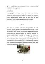 Referāts 'Sporta automašīnas', 17.