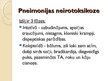 Prezentācija 'Bronhīti, bronhiolīti un pneimonijas bērniem', 7.