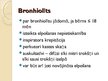Prezentācija 'Bronhīti, bronhiolīti un pneimonijas bērniem', 12.