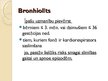 Prezentācija 'Bronhīti, bronhiolīti un pneimonijas bērniem', 13.
