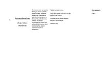 Konspekts 'Literatūras virzienu tabula', 4.