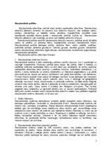 Referāts 'Starptautiskā politika', 2.