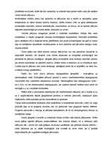 Referāts 'Klimatoloģija ģeogrāfiem', 4.