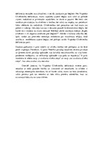 Eseja 'Cilvēktiesības, tendences Latvijā un pasaulē', 2.