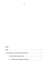 Referāts 'Starptautisko tiesību principi', 19.